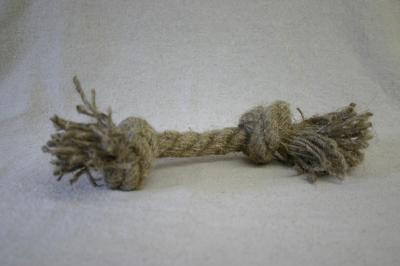 dog swallowed rope